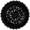 Ekena Millwork Lariah Ceiling Medallion (Fits Canopies up to 1 3/8"), 24 3/4"OD 1 3/8"ID x 3 1/4"P, Black Pearl CM24LABPS - alternate 1